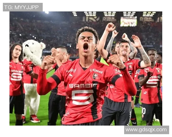 南特与里尔激战正酣比赛结果揭晓引发热议