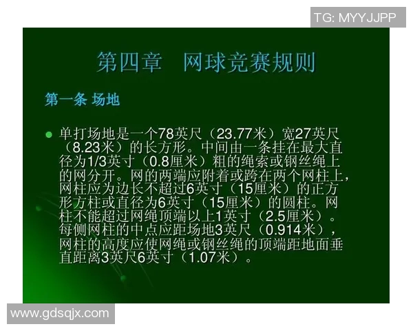 科学网球技术训练全攻略提升你的竞技水平与比赛表现